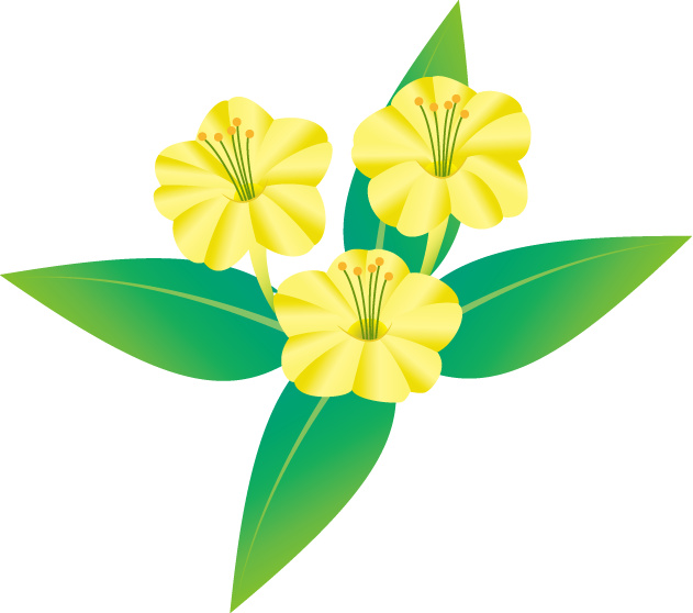 夏の花2 22 オシロイバナ 花の無料イラスト素材 イラストポップ