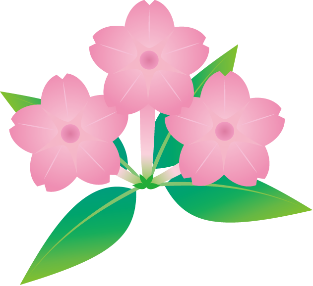 夏の花2 24 オシロイバナ 花の無料イラスト素材 イラストポップ