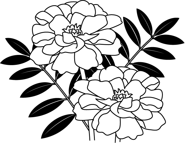 50 白黒 花 イラスト 無料のイラストやかわいいテンプレート