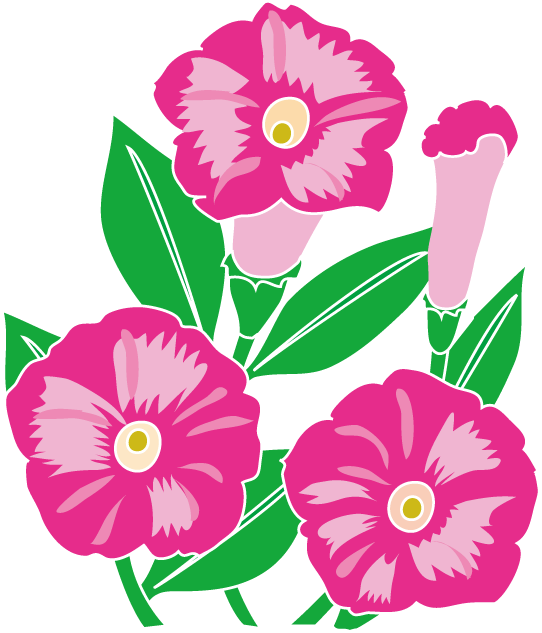 夏の花3 17 ペチュニア 花の無料イラスト素材 イラストポップ