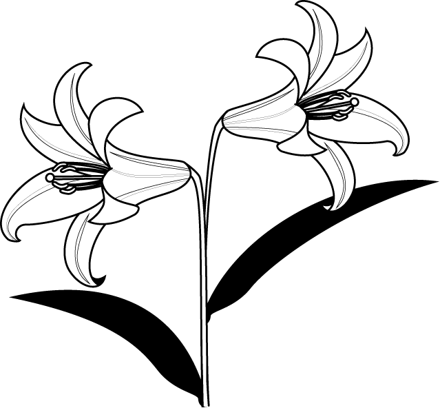 すべての美しい花の画像 新着百合 イラスト 花 白黒
