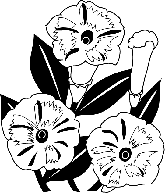 夏の花3 17 ペチュニア 花の無料イラスト素材 イラストポップ