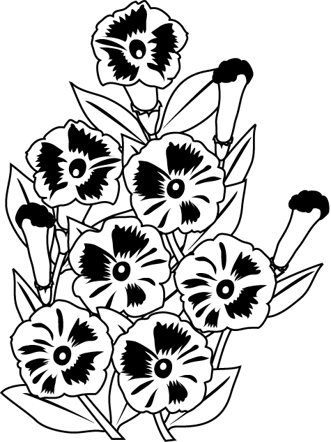 夏の花3 18 ペチュニア 花の無料イラスト素材 イラストポップ