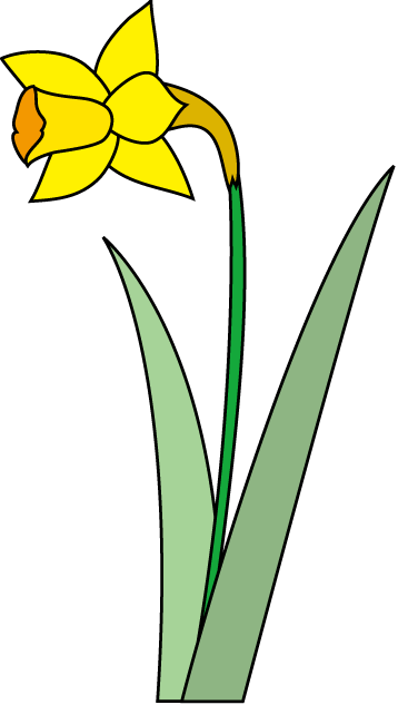 冬の花1 03 スイセン 花の無料イラスト素材 イラストポップ