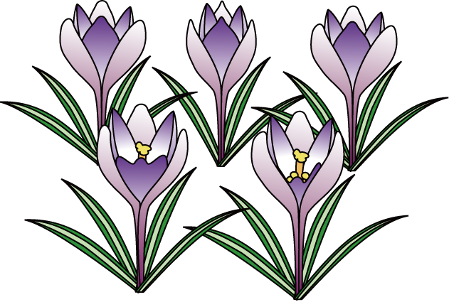 冬の花1 22 クロッカス 花の無料イラスト素材 イラストポップ