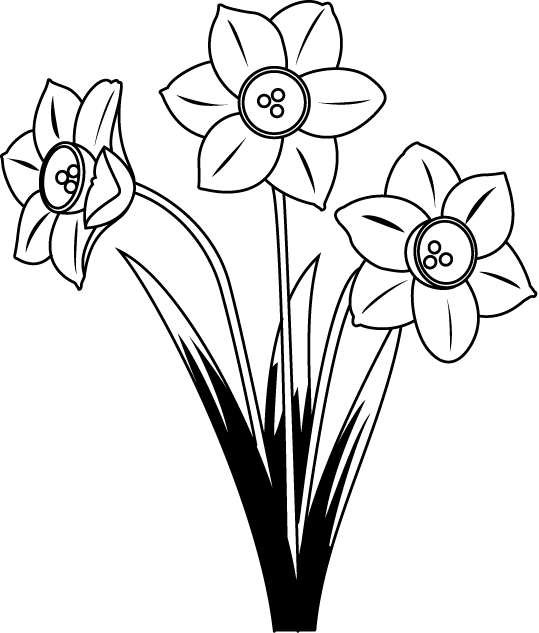 すべての花の画像 元の水仙 白黒