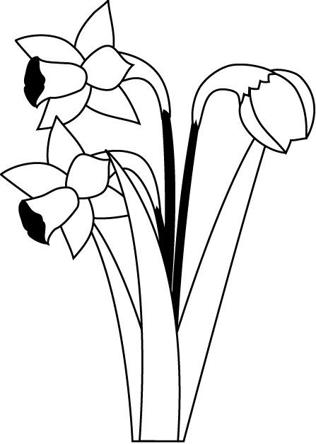 冬の花1 04 スイセン 花の無料イラスト素材 イラストポップ