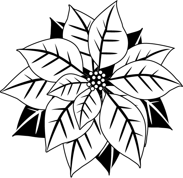 冬の花1 19 ポインセチア 花の無料イラスト素材 イラストポップ