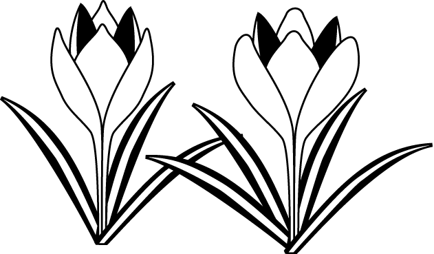冬の花1 21 クロッカス 花の無料イラスト素材 イラストポップ