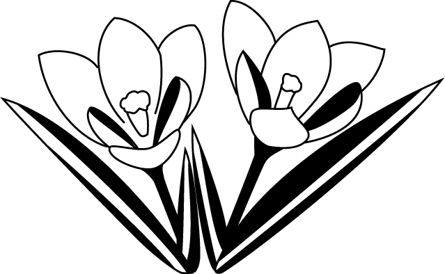 冬の花1 23 クロッカス 花の無料イラスト素材 イラストポップ