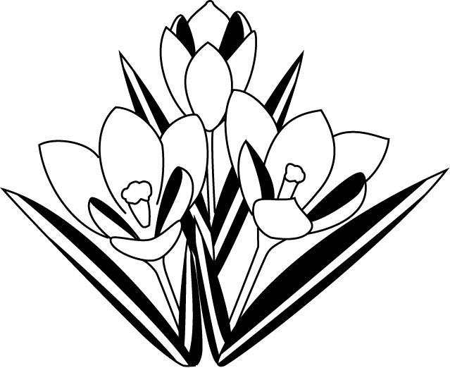 冬の花1 24 クロッカス 花の無料イラスト素材 イラストポップ