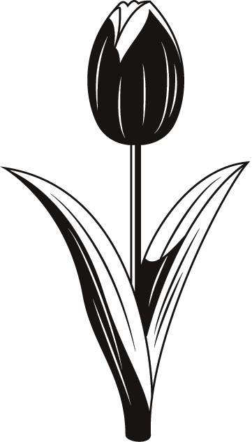 定番の花1 05 チューリップ 花の無料イラスト素材 イラストポップ