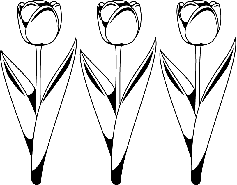 定番の花1 08 チューリップ 花の無料イラスト素材 イラストポップ