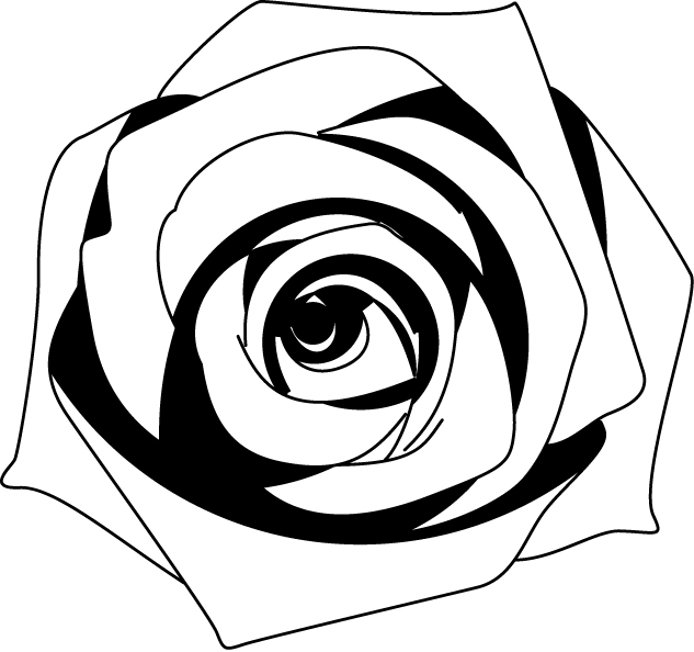 美しい花の画像 50 素晴らしい薔薇 白黒 イラスト