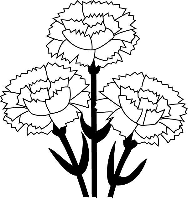 美しい花の画像 Hd限定カーネーション イラスト 白黒