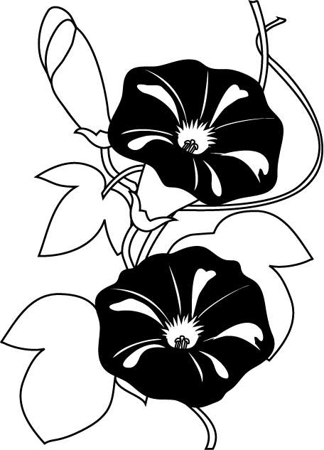定番の花2 13 あさがお 花の無料イラスト素材 イラストポップ