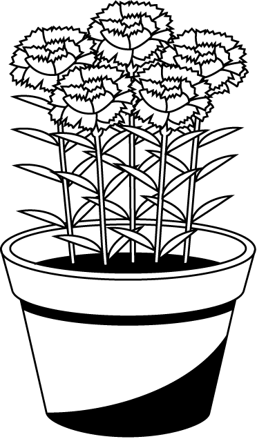 鉢植え24 カーネーション 花の無料イラスト素材 イラストポップ