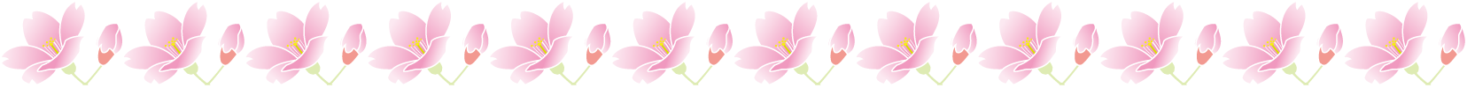 春の花の飾り罫11-桜イラスト