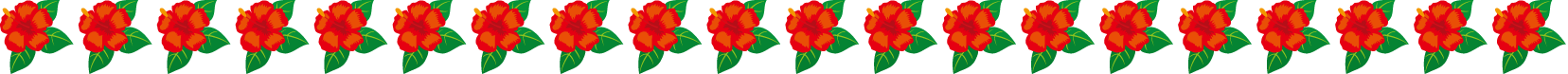 夏の花の飾り罫03-ハイビスカスイラスト
