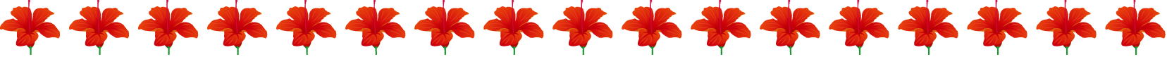 夏の花の飾り罫04-ハイビスカスイラスト