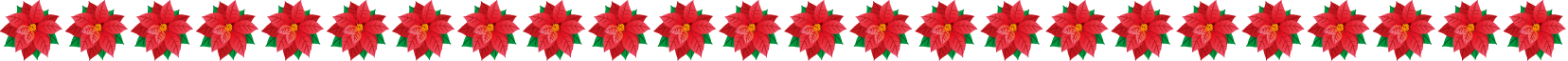 秋冬の花の飾り罫20-ポインセチアイラスト