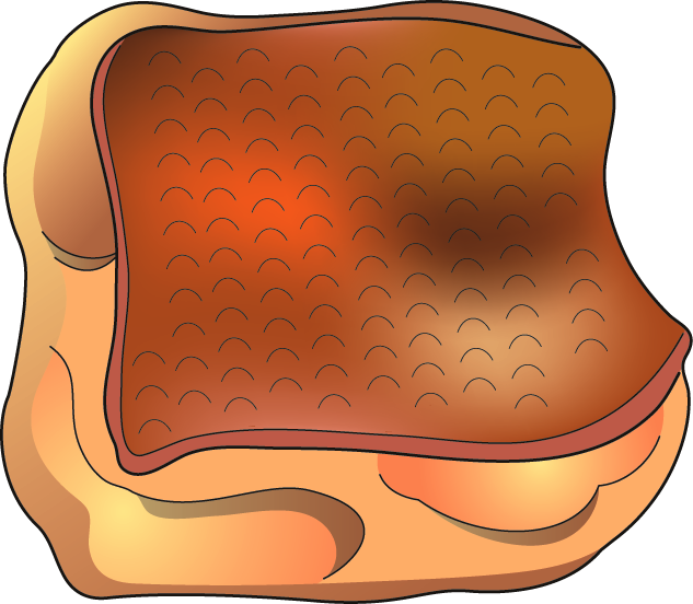 肉料理07 照り焼きチキン 食 料理 食材 の無料イラスト素材 イラストポップ