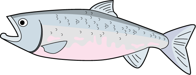 魚介類09-鮭 イラスト