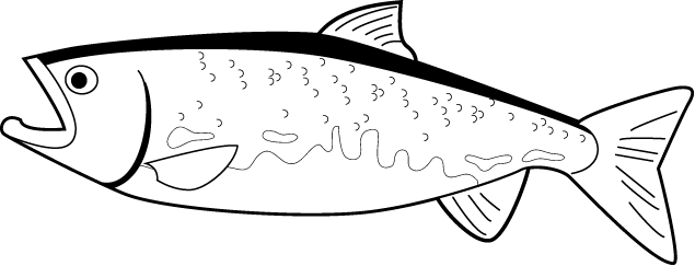 魚介類09-鮭 イラスト