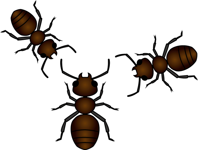 イラストポップの昆虫画像素材 アリno02アリの無料イラスト
