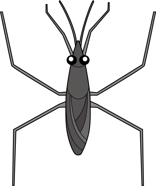 イラストポップの昆虫画像素材 水生昆虫no01アメンボの無料イラスト