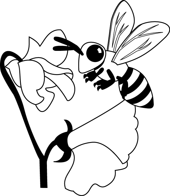 蜂No02ミツバチイラスト