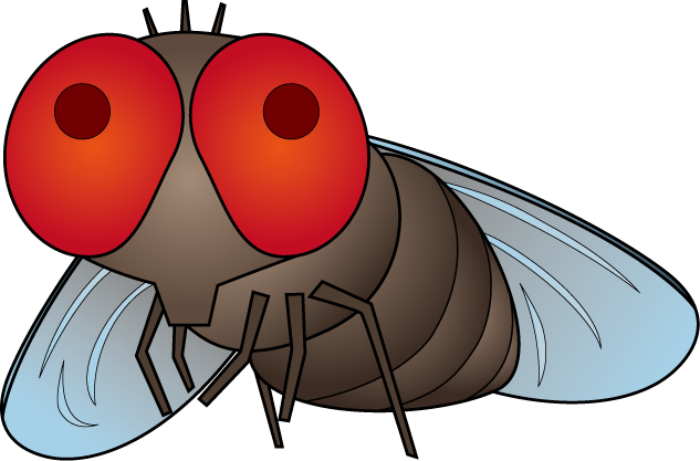 イラストポップの昆虫画像素材 ハエ蚊no07ハエの無料イラスト