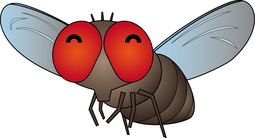 イラストポップの昆虫画像素材 ハエ蚊no08ハエの無料イラスト