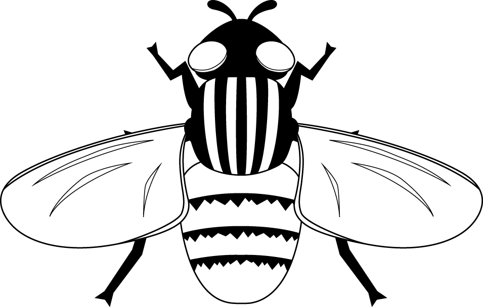 イラストポップの昆虫画像素材 ハエ蚊no06ハエの無料イラスト