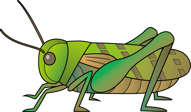 イラストポップの昆虫画像素材 バッタno01トノサマバッタの無料イラスト