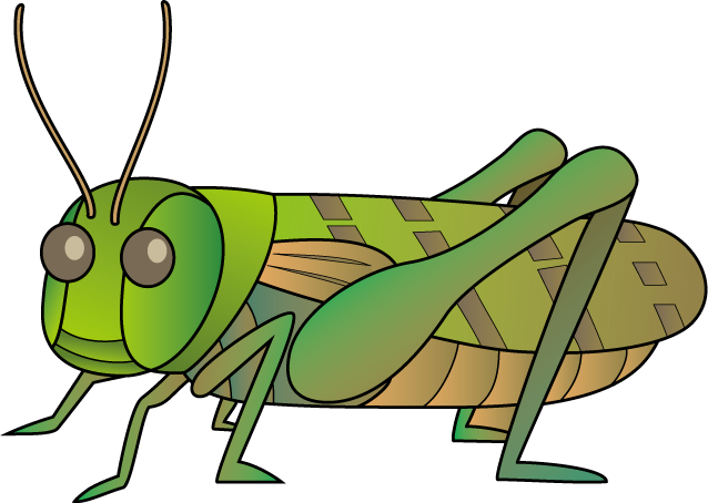 イラストポップの昆虫画像素材 バッタno02トノサマバッタの無料イラスト