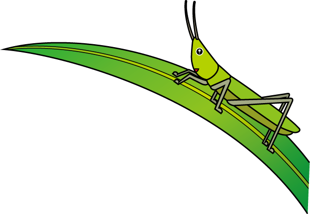 イラストポップの昆虫画像素材 バッタno06ショウリョウバッタの無料イラスト