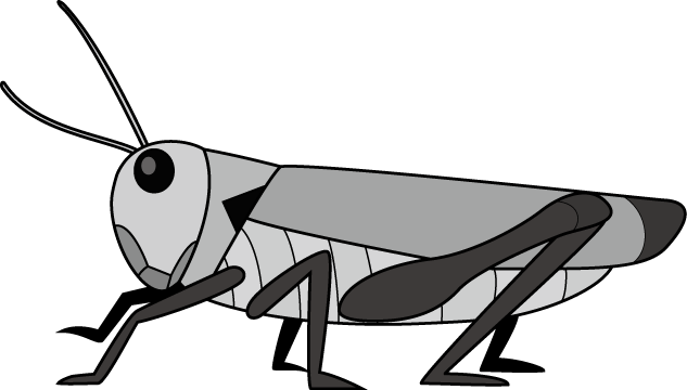 イラストポップの昆虫画像素材 バッタno09イナゴの無料イラスト