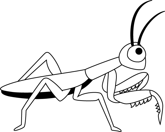 イラストポップの昆虫画像素材 カマキリno02カマキリの無料イラスト