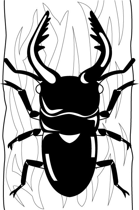 イラストポップの昆虫画像素材 クワガタムシno02クワガタムシの無料イラスト