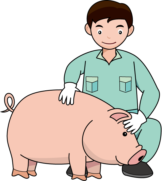 畜産23 養豚 仕事の無料イラスト素材 イラストポップ