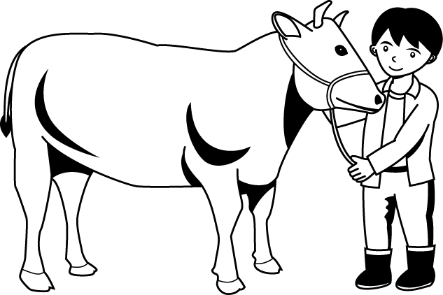 畜産04 肉牛 仕事の無料イラスト素材 イラストポップ