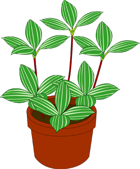 イラストポップ 植物イラスト 観葉植物素材が無料