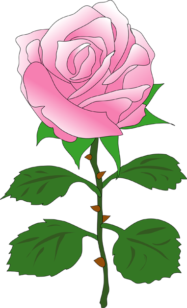 イラストポップ 植物イラスト バラの花素材が無料