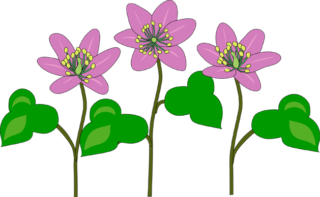 イラストポップ 植物イラスト 春の花素材が無料