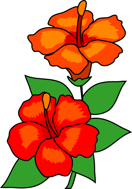 イラストポップ 植物イラスト 夏の花素材が無料