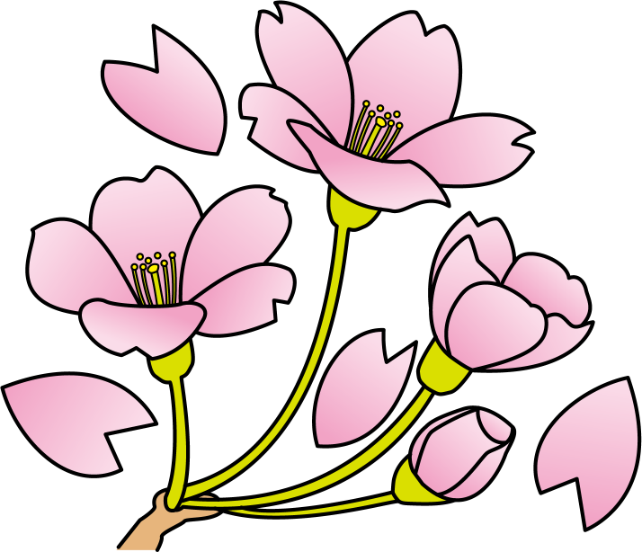 イラストポップ 学校のイラスト 入学式no15桜の花の無料素材