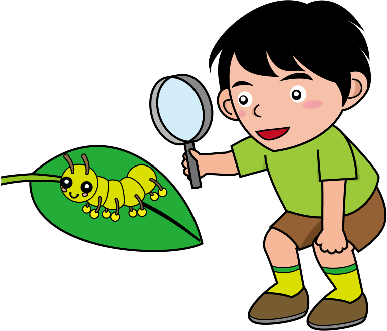 イラストポップ 学校のイラスト 理科no25虫めがねで昆虫を観察する男の子の無料素材