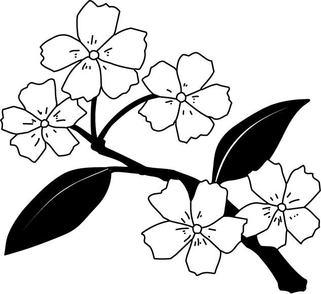 美しい花の画像 最高4月 イラスト 白黒