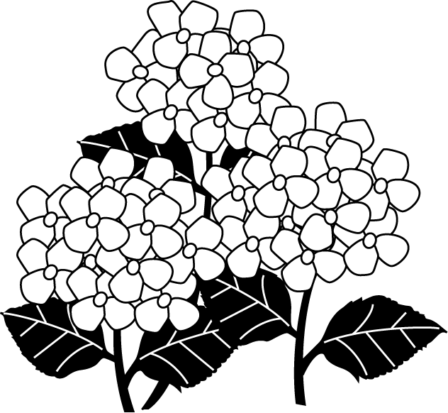 イラストポップの季節の素材 春夏秋冬の行事や風物のイラスト6月2 No22紫陽花の無料ダウンロードページ